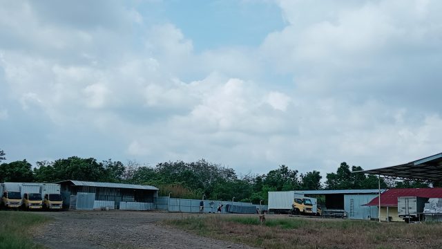 Pergantian Pimpinan Diikuti Dugaan Produksi Ulang Roti Tak Layak Konsumsi di CV Bungo Jaya Pangan