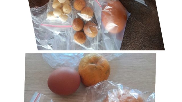 Menu MBG Dinilai Monoton, Siswa SMA 4 Bungo Harap Ada Variasi Makanan